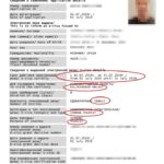 e-viisumi Venaja-esimerkki - esitelty-kuva